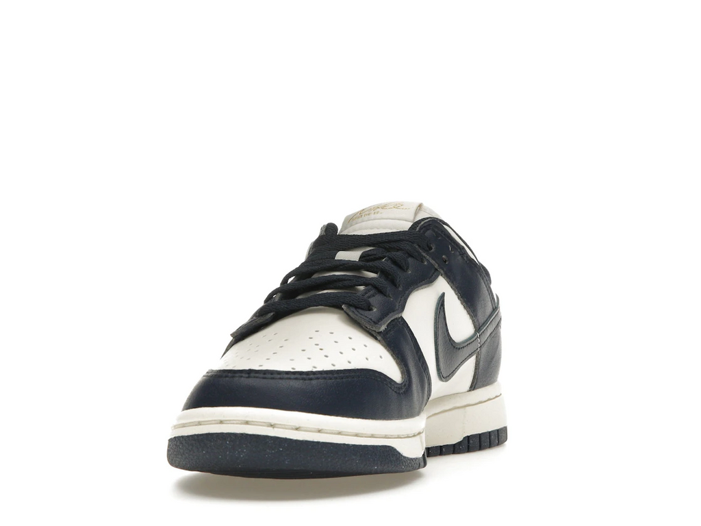 Nike Dunk Low Next Nature Olympic (W)