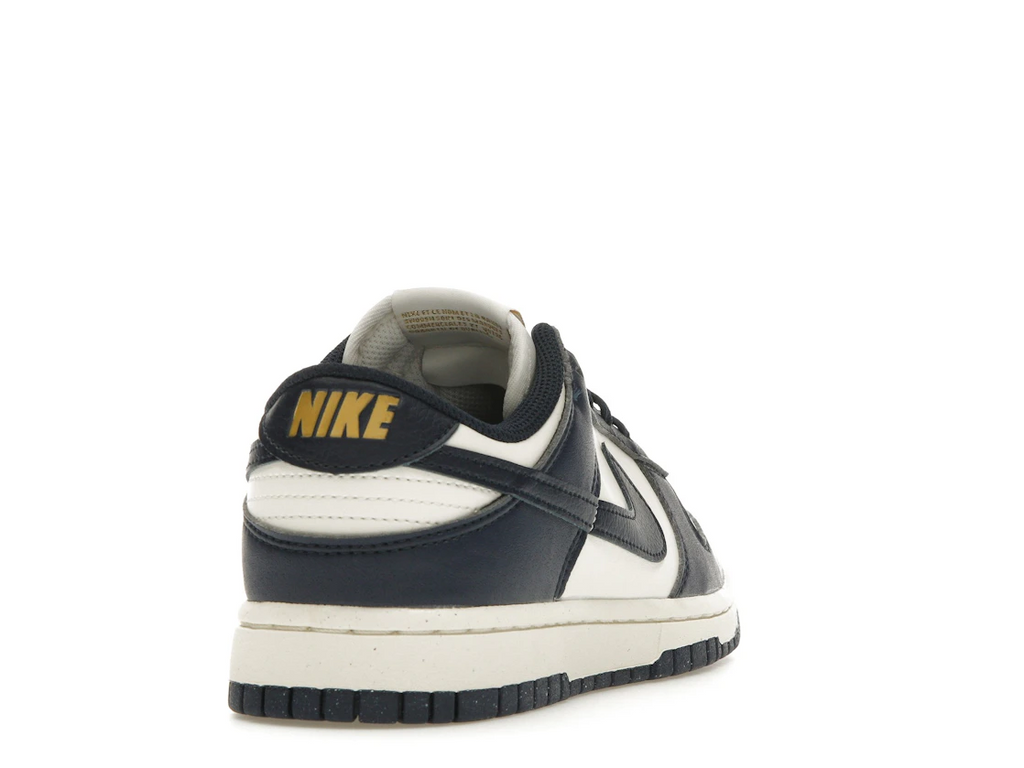 Nike Dunk Low Next Nature Olympic (W)