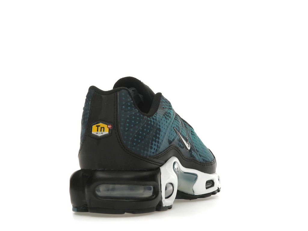 Nike Air Max Plus Dot Pattern Black Dusty Cactus (W)