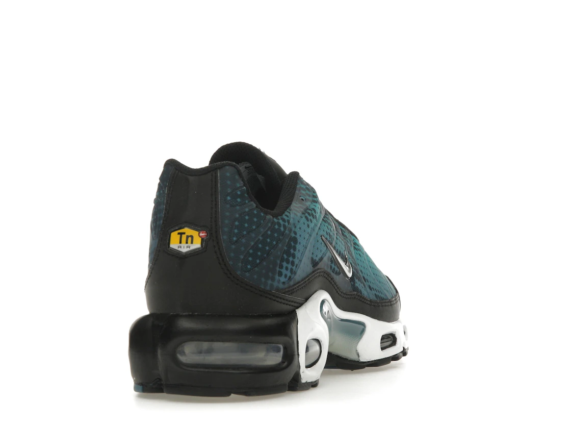 Nike Air Max Plus Dot Pattern Black Dusty Cactus (W)