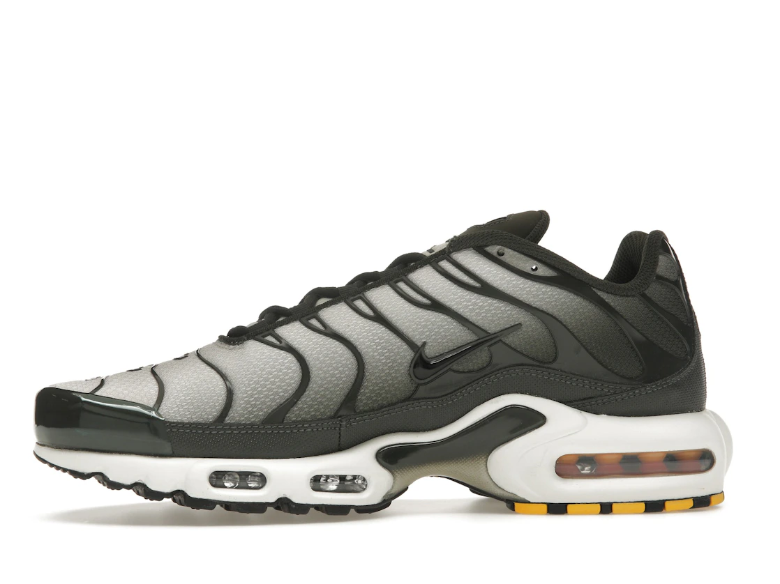 Nike Air Max Plus Sequoia Cargo Khaki