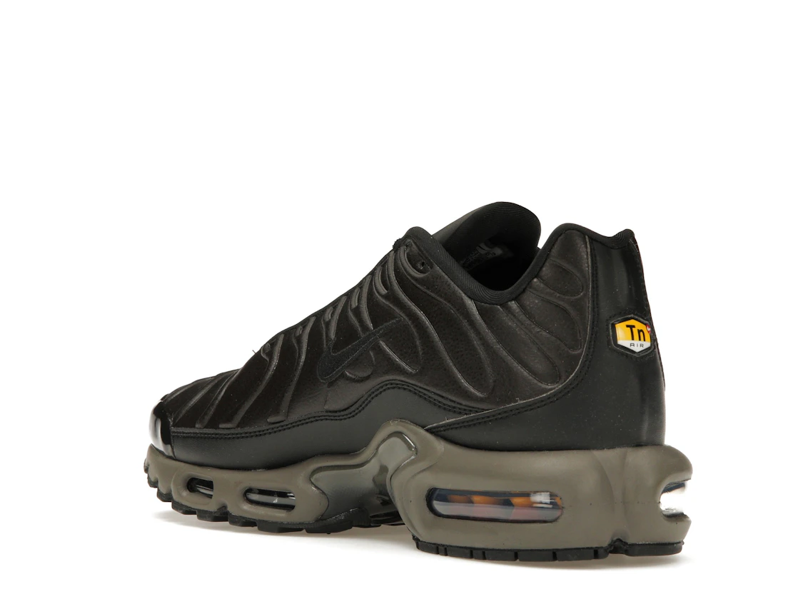 Nike Air Max Plus Premium Paris
