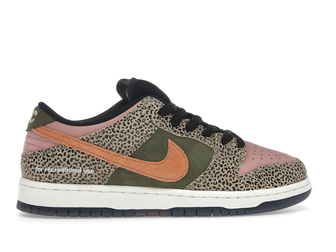 Nike SB Dunk Low Arts-Rec