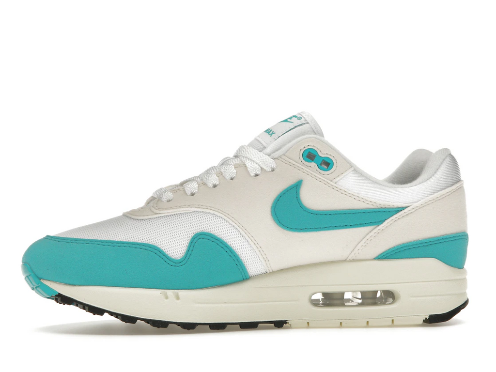 Nike Air Max 1 Dusty Cactus (W)