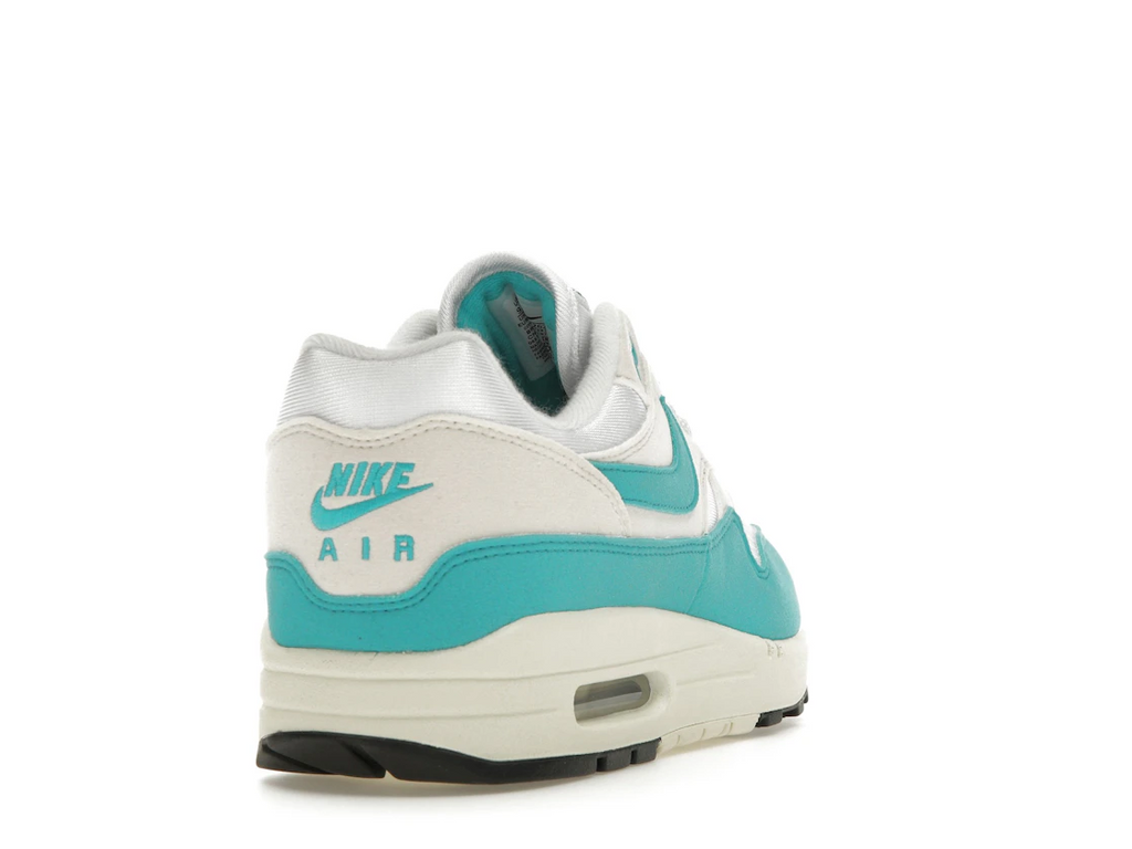 Nike Air Max 1 Dusty Cactus (W)
