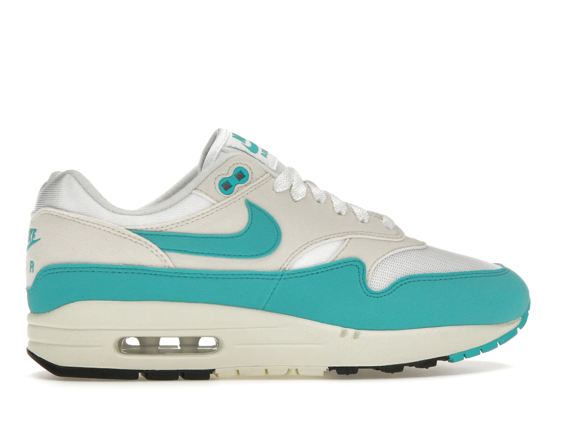 Nike Air Max 1 Dusty Cactus (W)