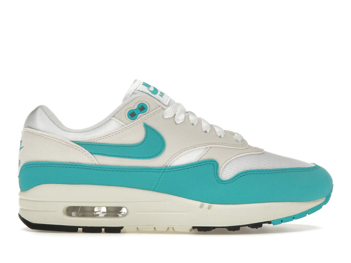 Nike Air Max 1 Dusty Cactus (W)