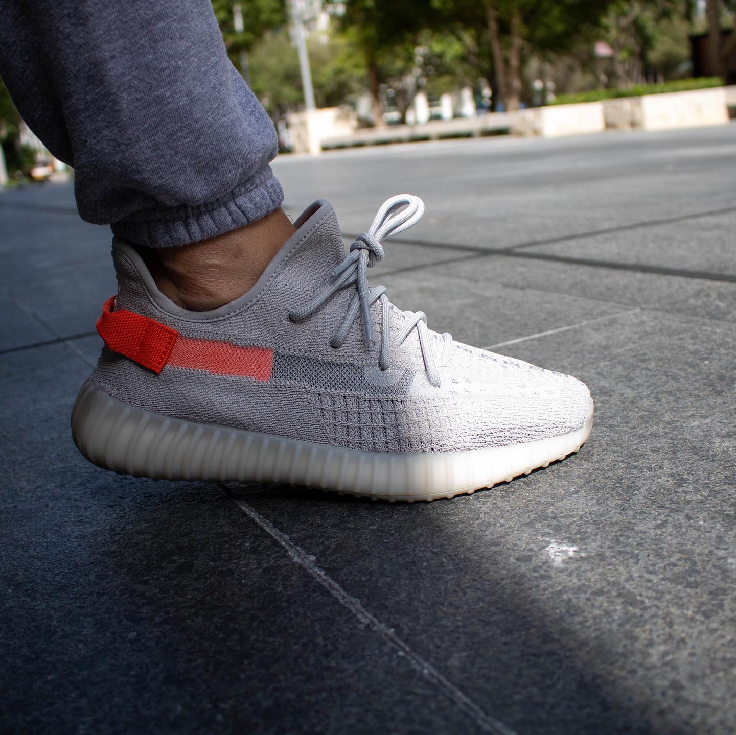 adidas Yeezy Boost 350 V2 Tail Light