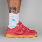 Nike SB Dunk Low Adobe