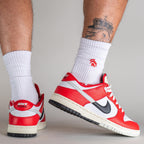 Nike Dunk Low Chicago Split