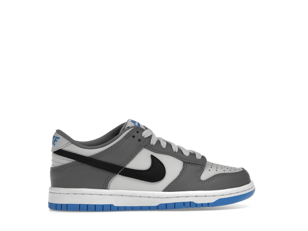 Nike Dunk Low Cool Grey Light Photo Blue (GS)