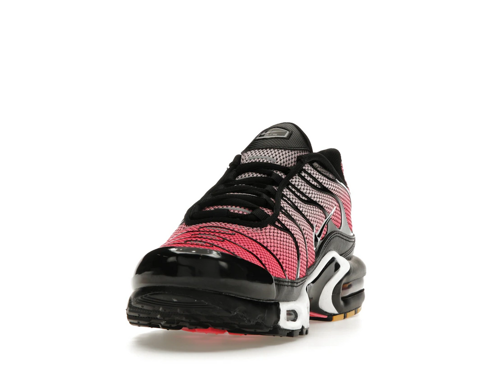 Nike Air Max Plus All Day