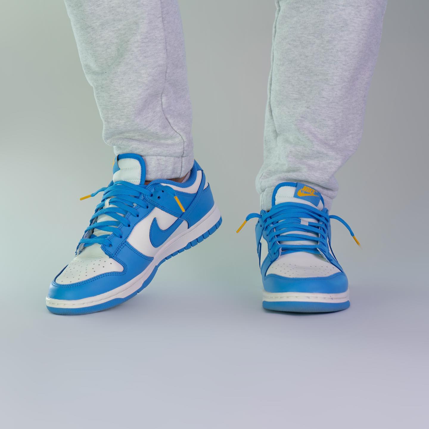 Nike Dunk Low Coast (W)