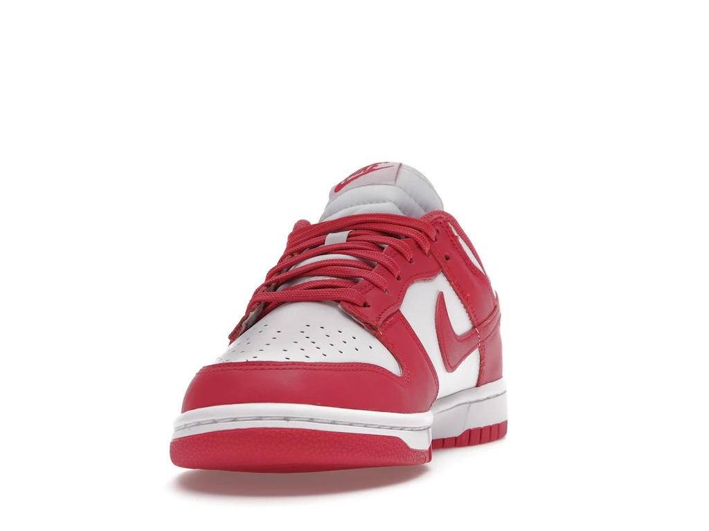 Nike Dunk Low Archeo Pink (W)