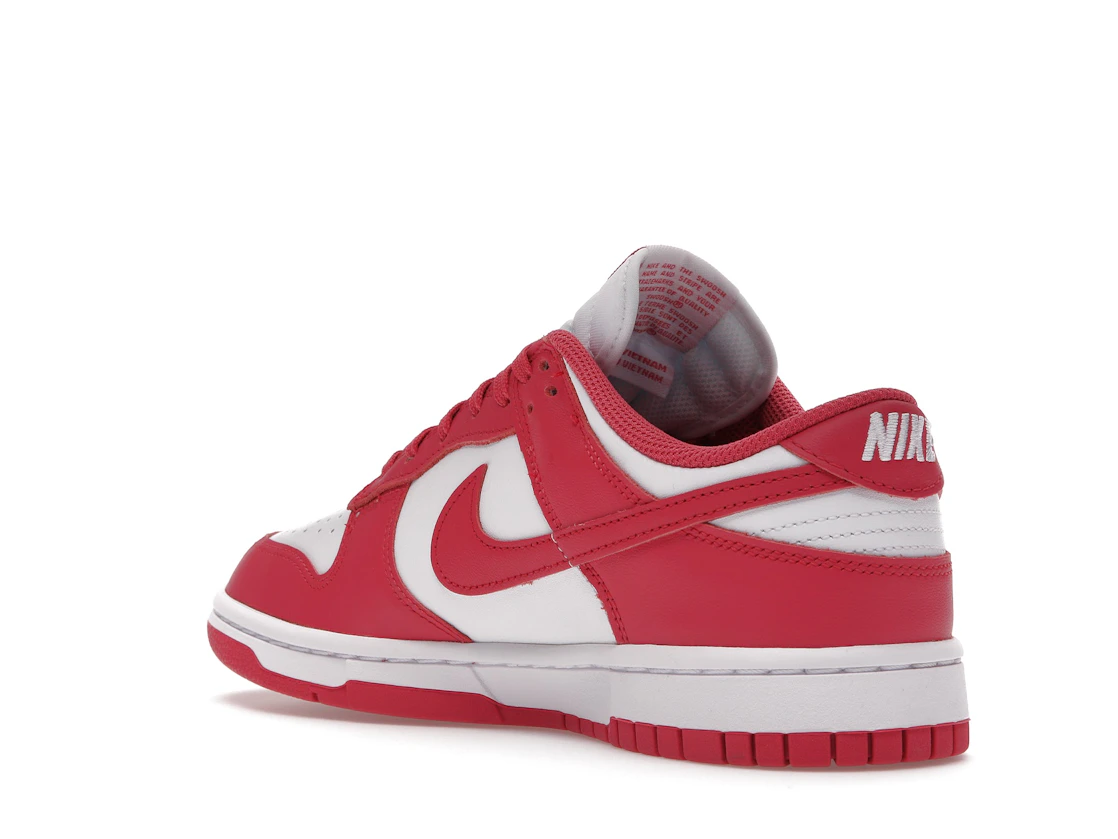Nike Dunk Low Archeo Pink (W)