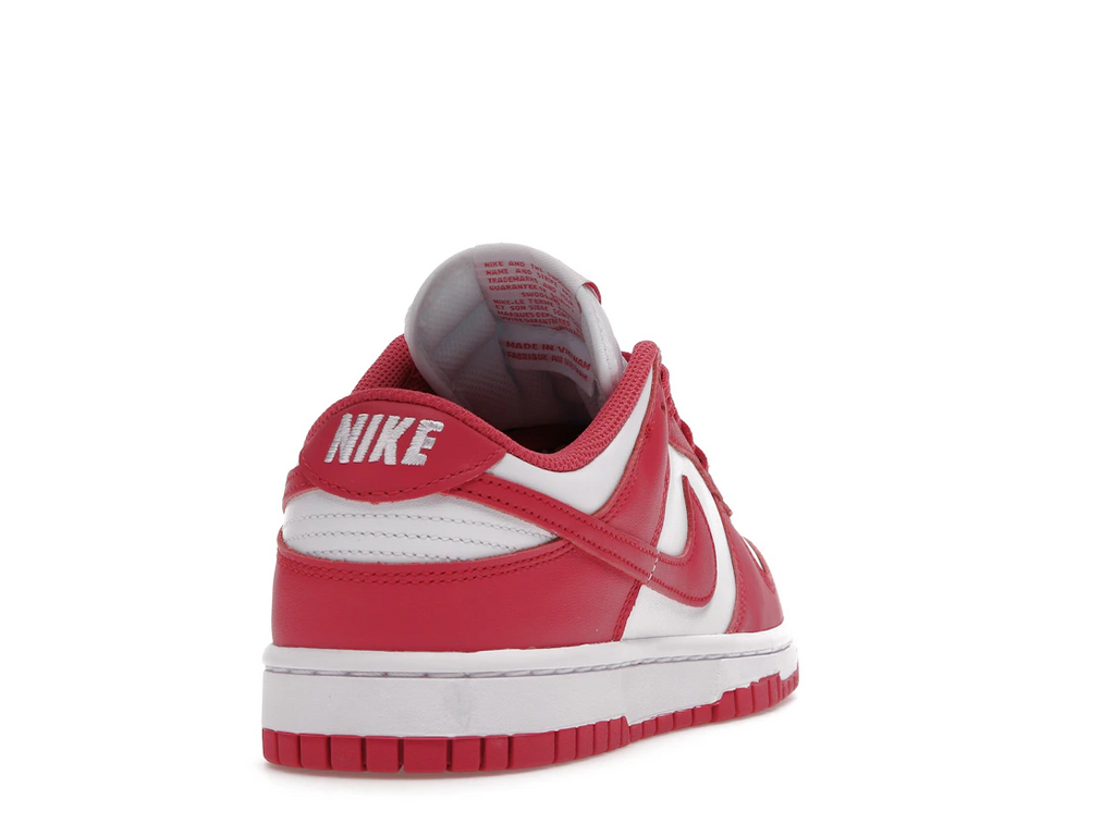Nike Dunk Low Archeo Pink (W)