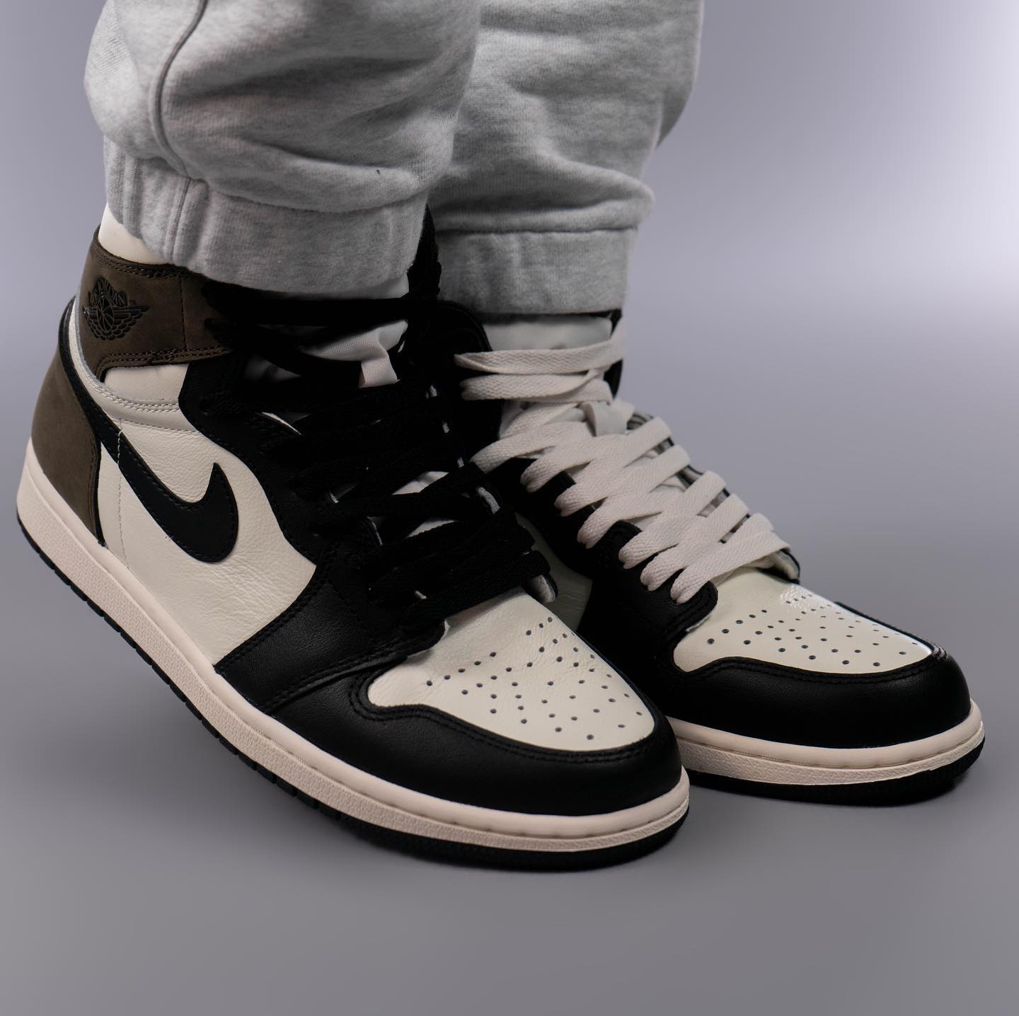 Air Jordan 1 High Mocha