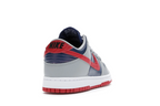 Nike Dunk Low CO.JP Samba (2020)
