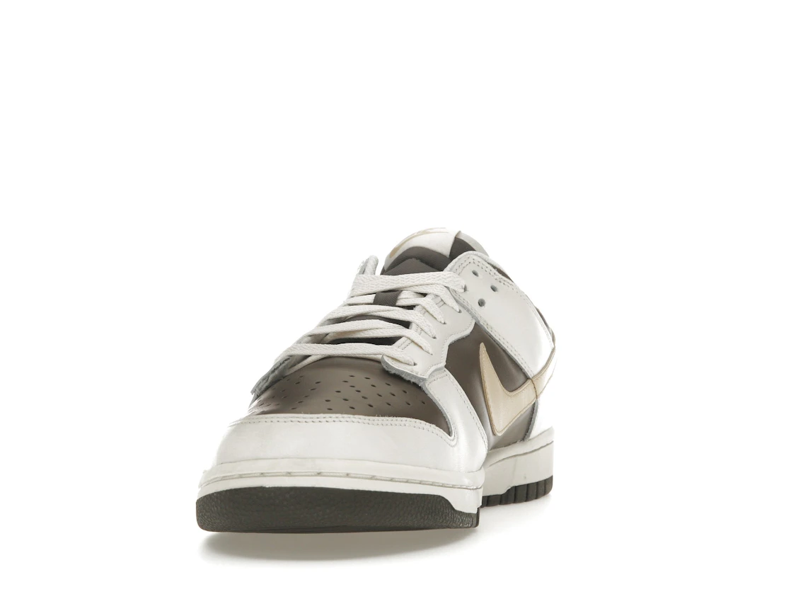 Nike Dunk Low Ironstone Sesame (W)
