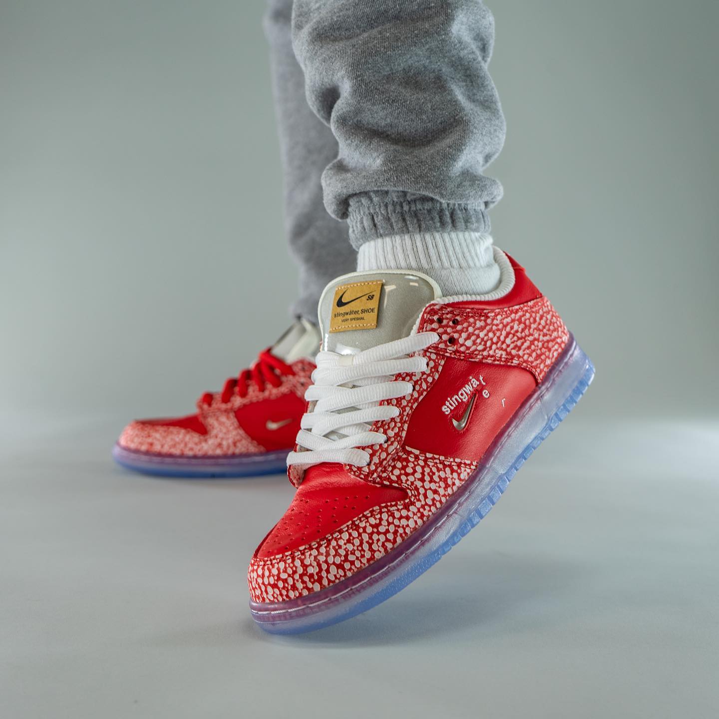 Nike SB Dunk Low Stingwater Magic Mushroom
