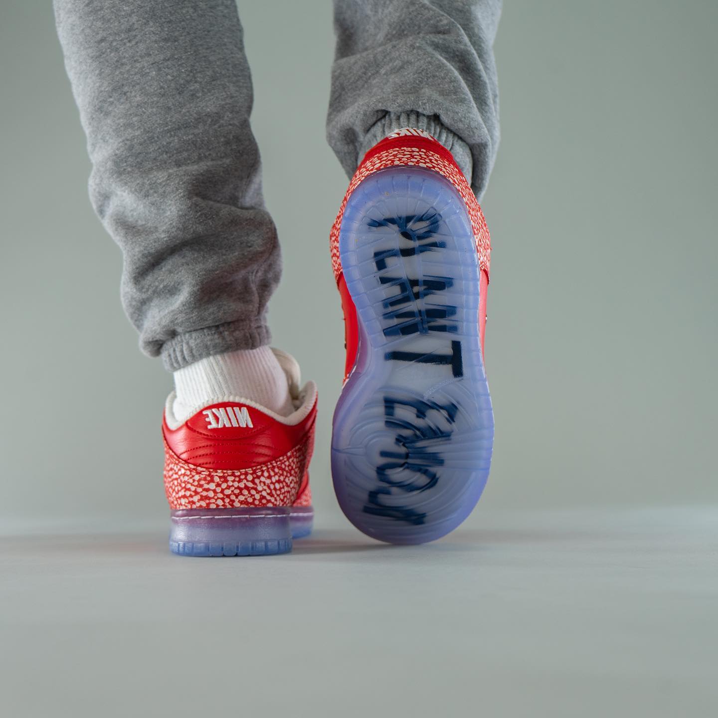 Nike SB Dunk Low Stingwater Magic Mushroom