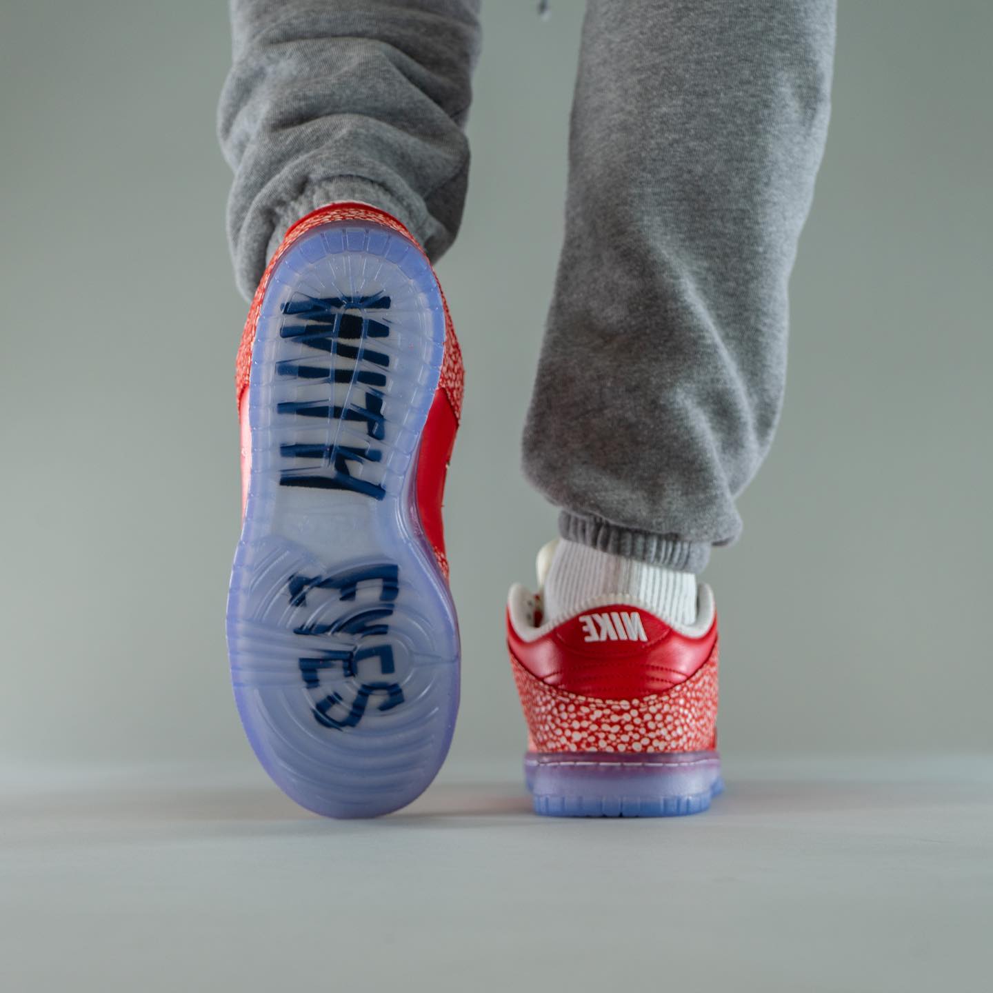 Nike SB Dunk Low Stingwater Magic Mushroom