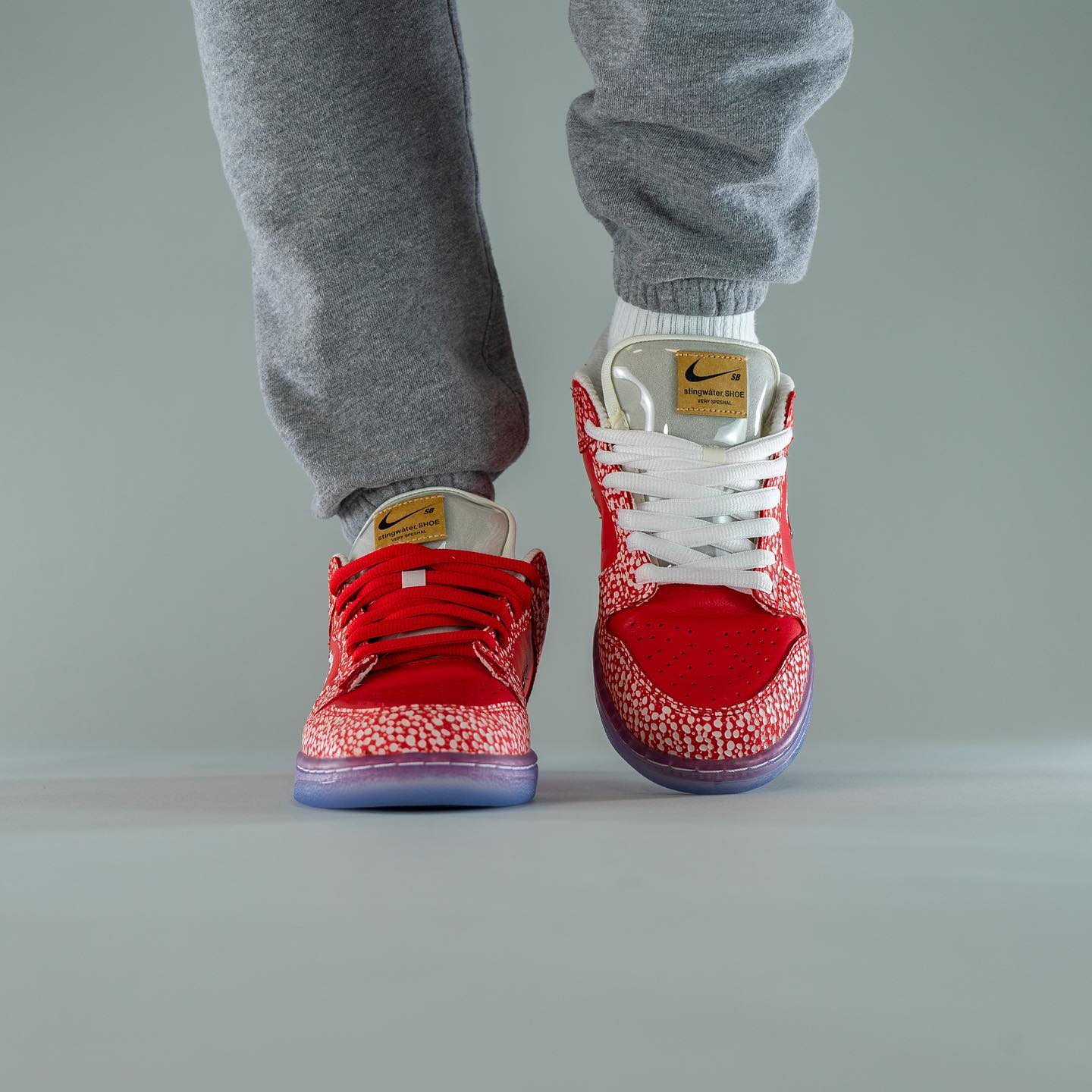 Nike SB Dunk Low Stingwater Magic Mushroom