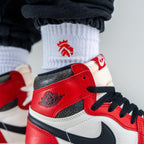 Air Jordan 1 Retro High OG Lost and Found