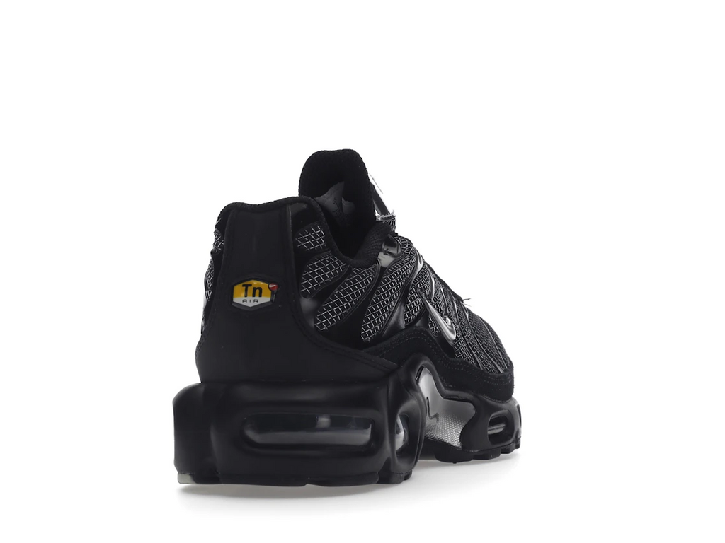 Nike Air Max Plus Black Suede Silver (W)