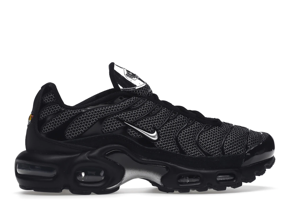 Nike Air Max Plus Black Suede Silver (W)