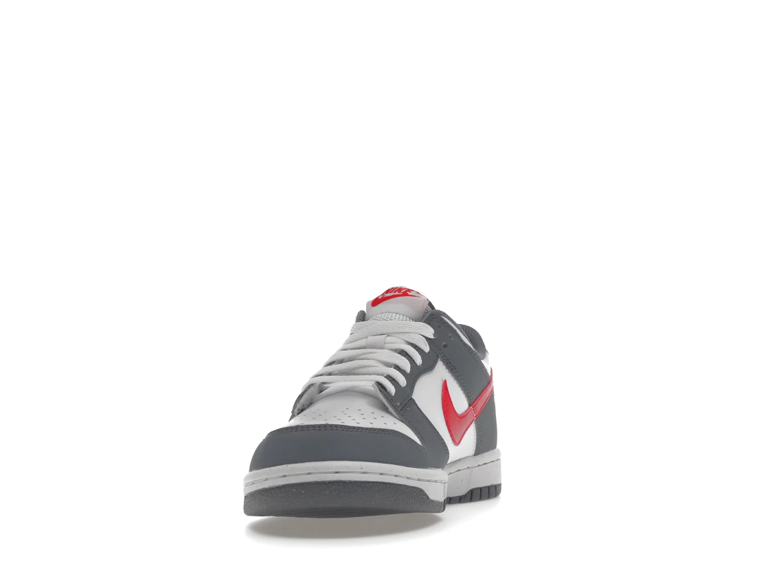 Nike Dunk Low Next Nature Smoke Grey Light Crimson (GS)
