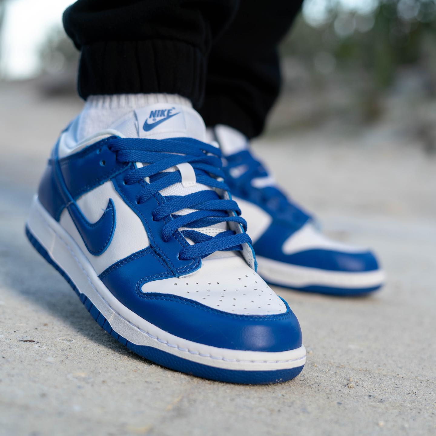 Nike Dunk Low SP Kentucky