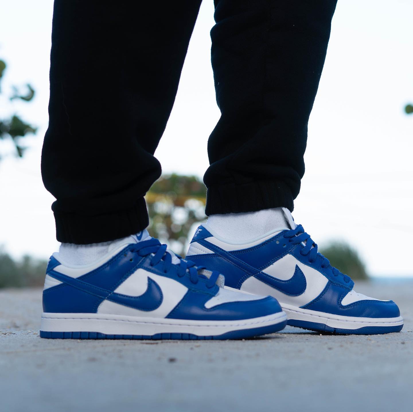 Nike Dunk Low SP Kentucky