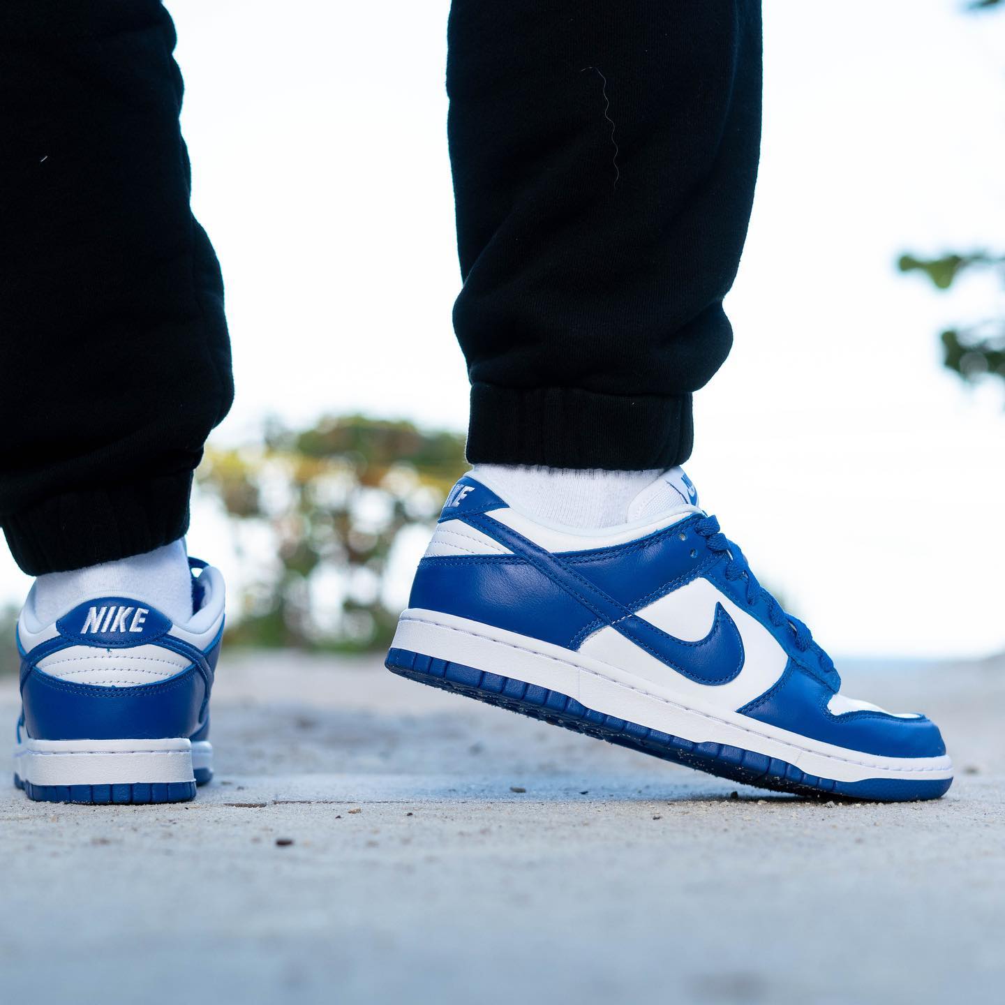 Nike Dunk Low SP Kentucky