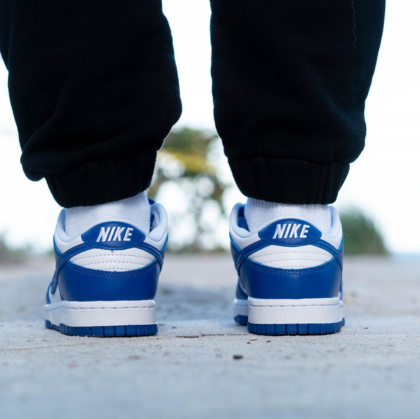 Nike Dunk Low SP Kentucky
