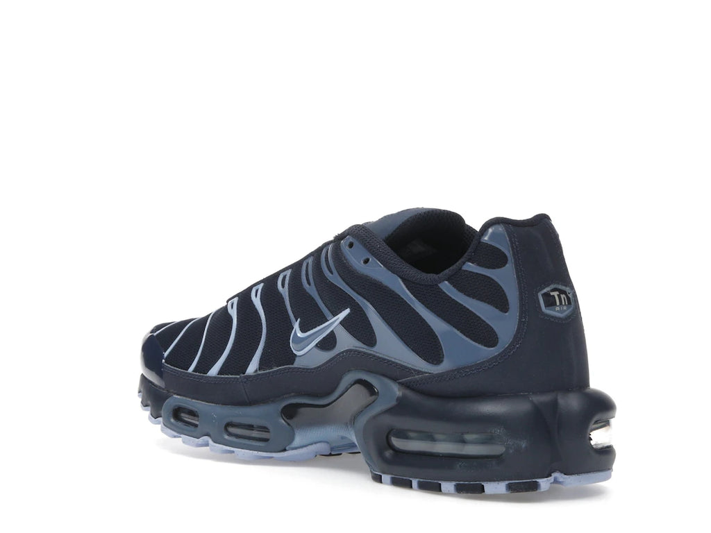 Nike Air Max Plus Obsidian Aluminum