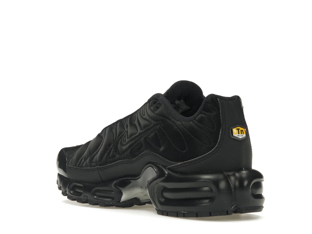 Nike Air Max Plus Black Anthracite Sail (W)