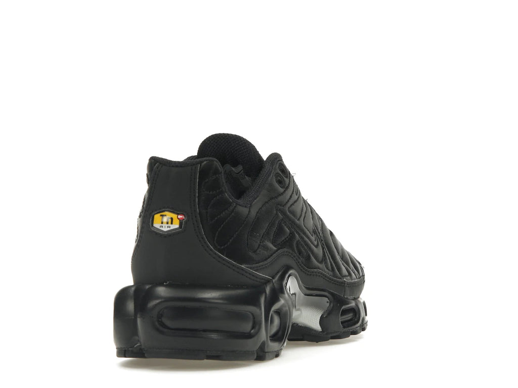 Nike Air Max Plus Black Anthracite Sail (W)
